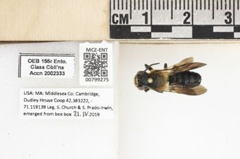 Media type: image;   Entomology 799275 Aspect: labels